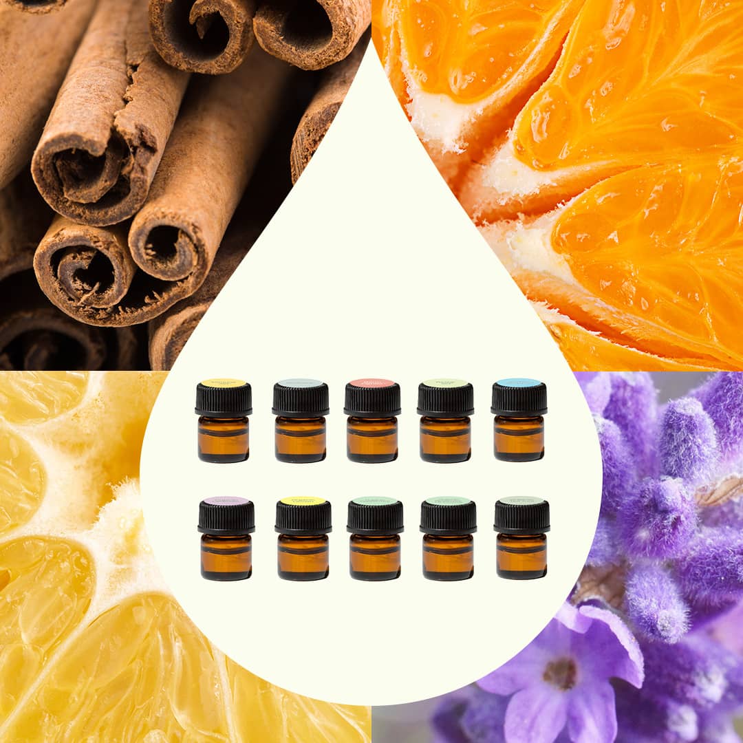 Plant Therapy - Aroma Flight 10 Count Set