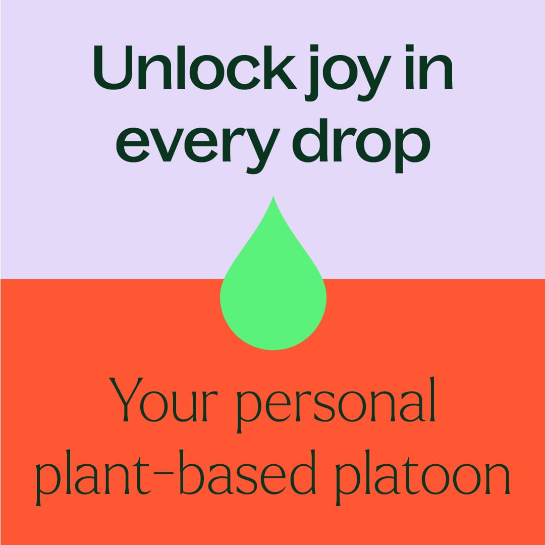 Plant Therapy - Aroma Flight 10 Count Set