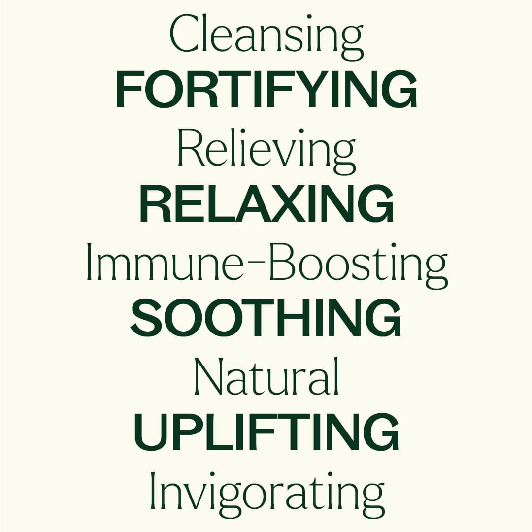 Plant Therapy - Aroma Flight 10 Count Set