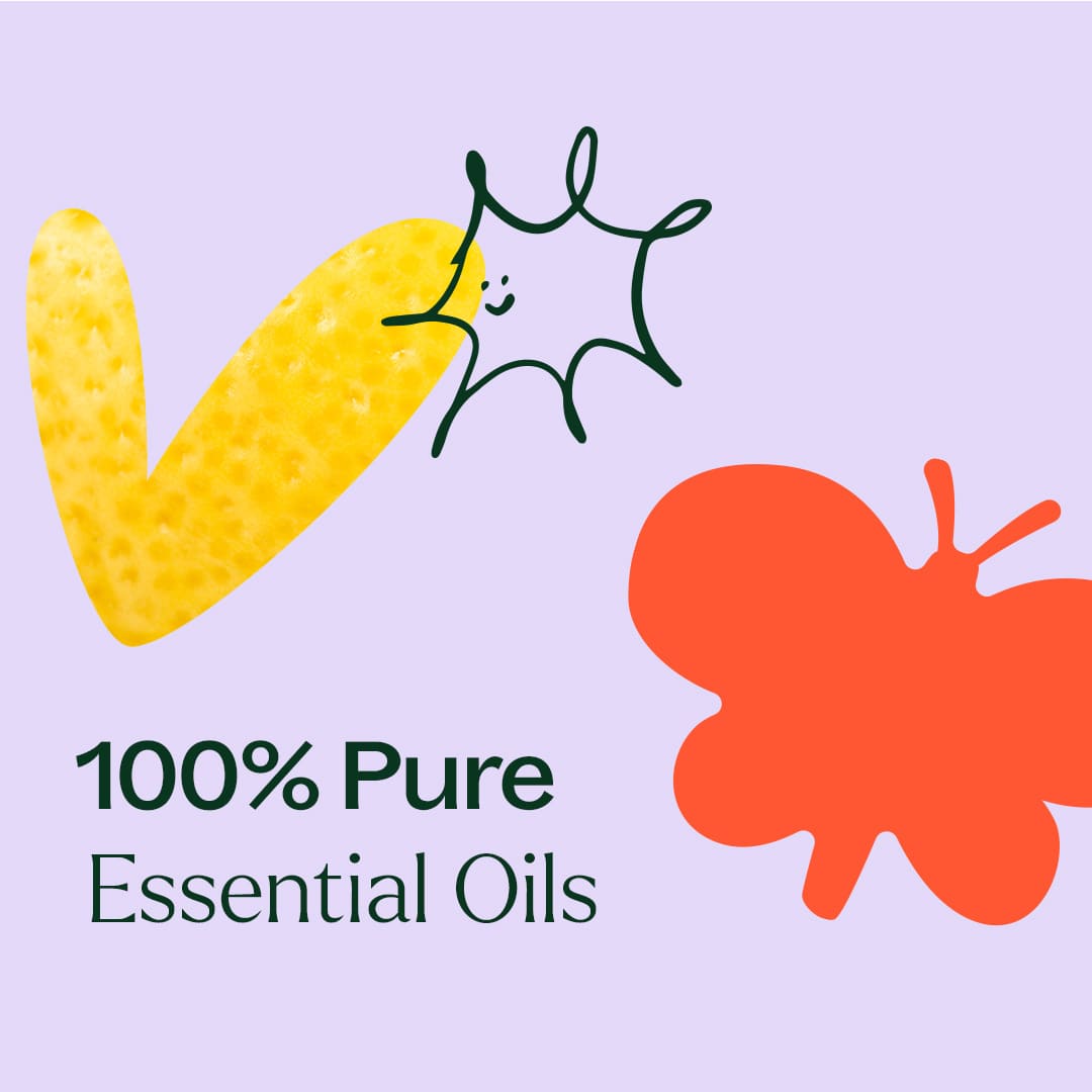 Plant Therapy - Aroma Flight 10 Count Set