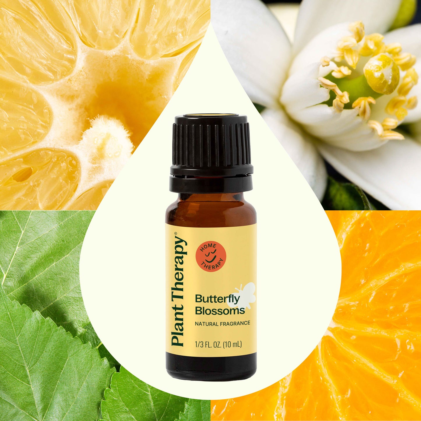 Plant Therapy - Butterfly Blossoms Natural Fragrance