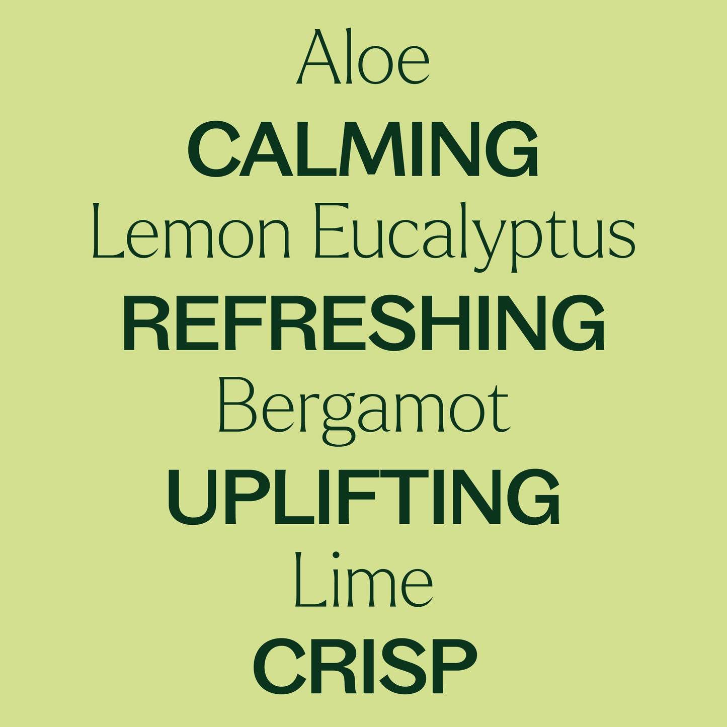 Plant Therapy - Citrus Refresher Body Wash 16 oz