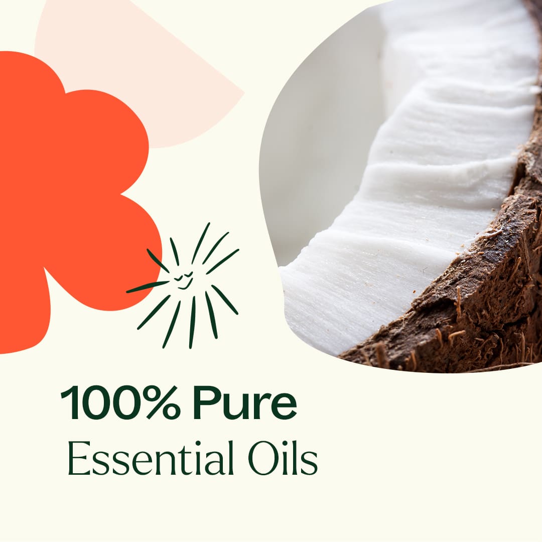 Plant Therapy - Coconut Kiss Essential Oil Blend