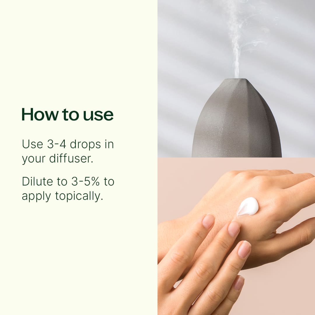 Plant Therapy - Go Time Essential Oil Blend