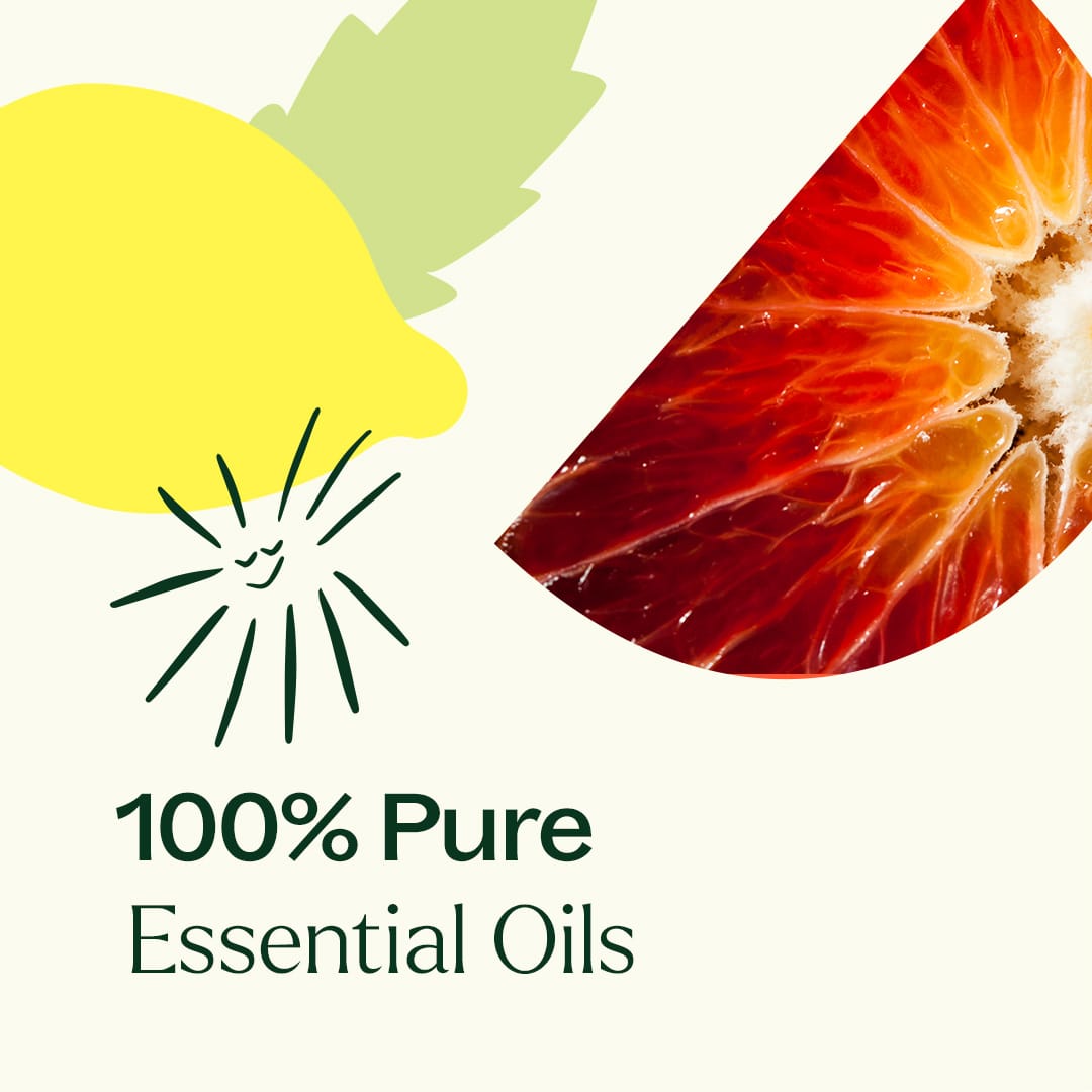 Plant Therapy - Go Time Essential Oil Blend