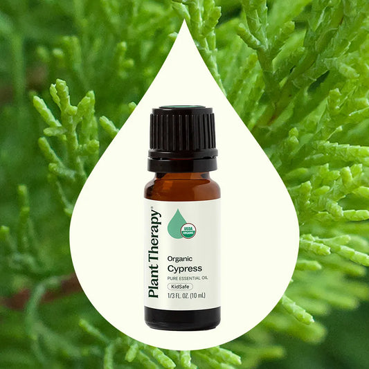 Plant Therapy - Organic Cypress Essential Oil
