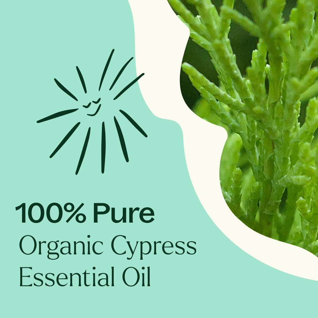 Plant Therapy - Organic Cypress Essential Oil
