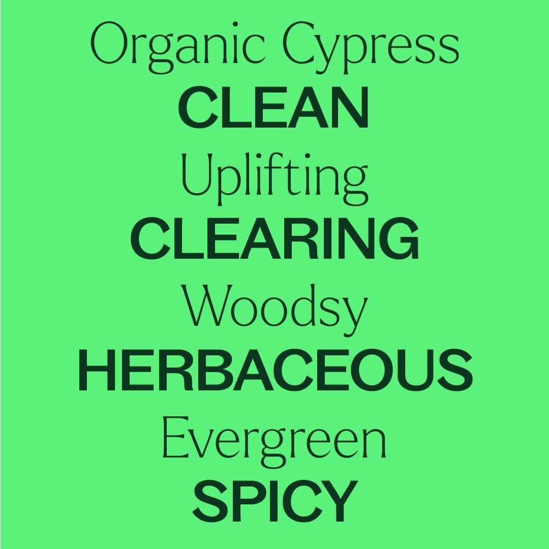 Plant Therapy - Organic Cypress Essential Oil