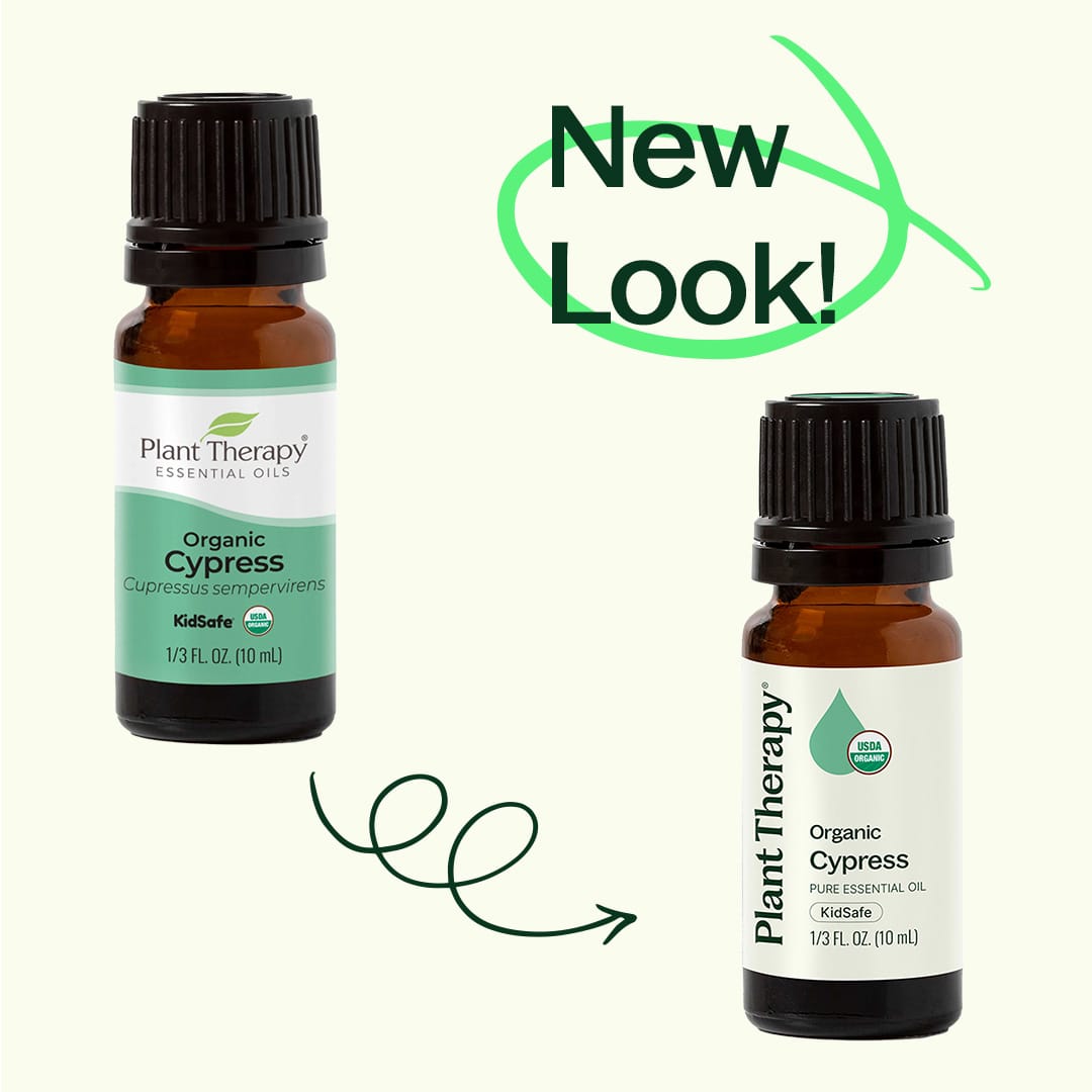 Plant Therapy - Organic Cypress Essential Oil