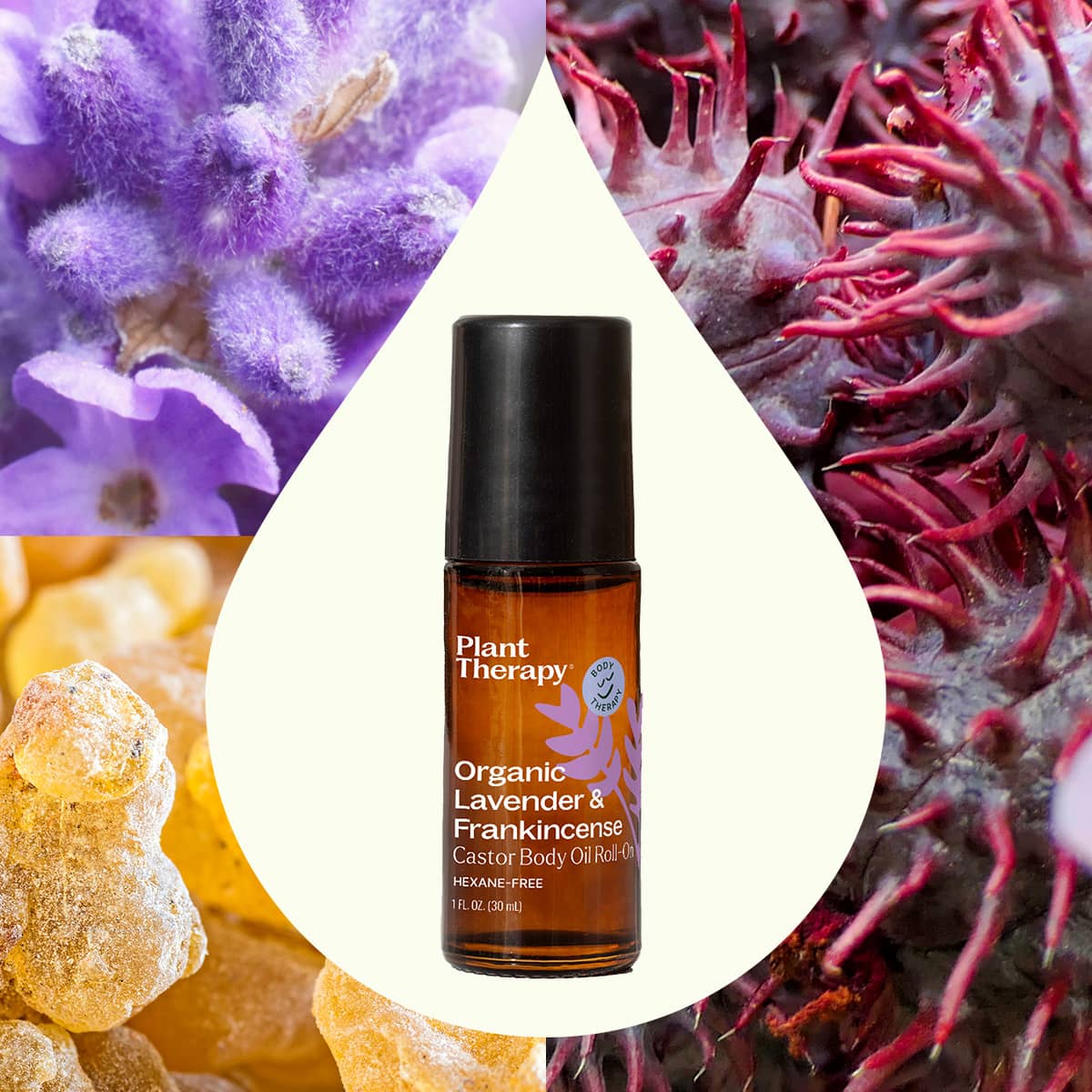 Plant Therapy - Organic Lavender & Frankincense Castor Body Oil Roll-On 30 mL