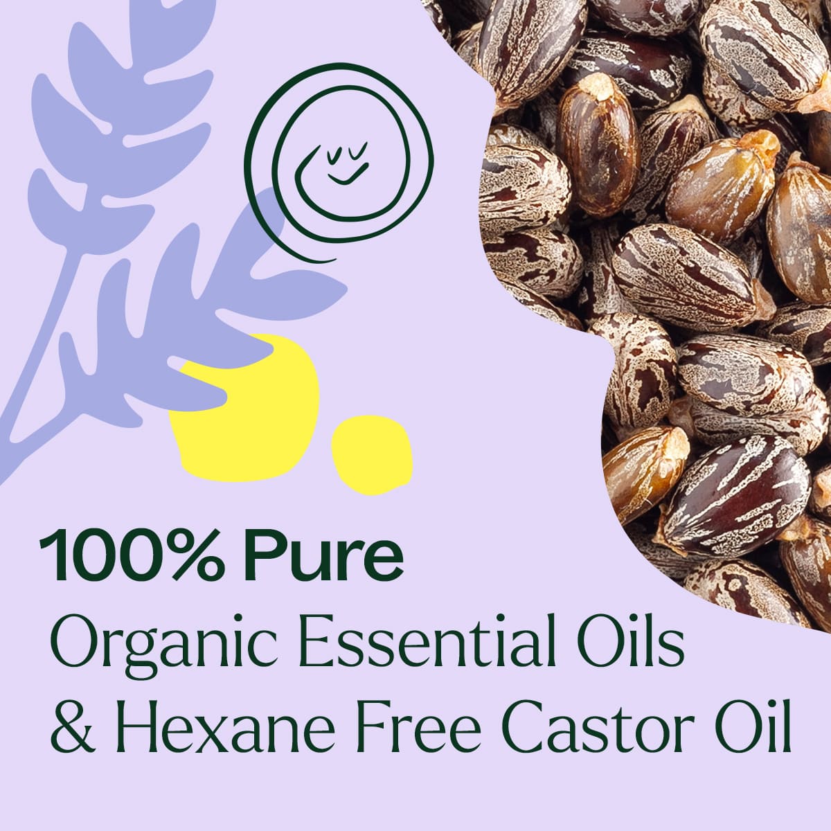 Plant Therapy - Organic Lavender & Frankincense Castor Body Oil Roll-On 30 mL