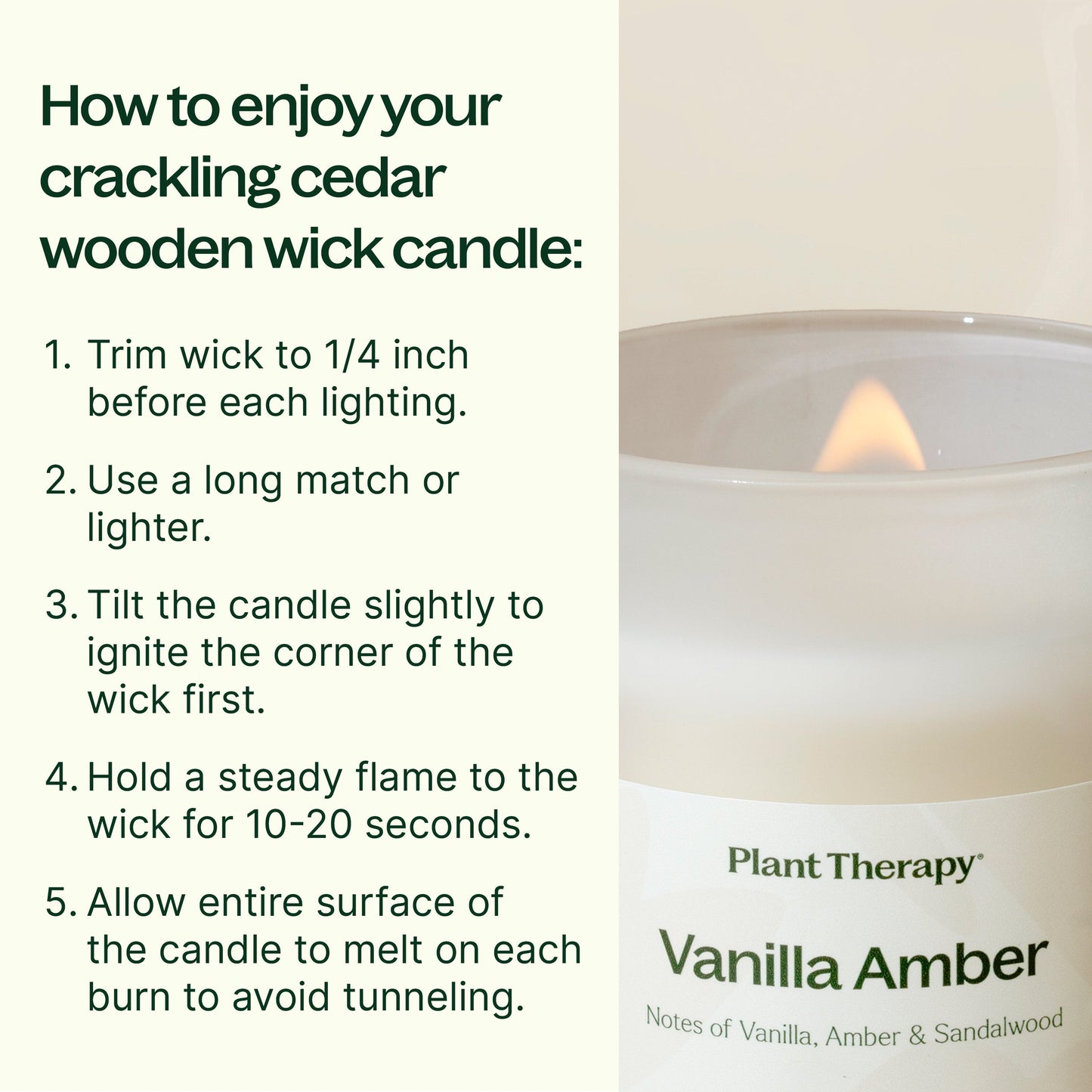 Plant Therapy - Vanilla Amber Naturally Scented Candle