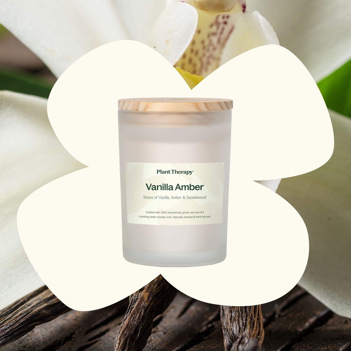 Plant Therapy - Vanilla Amber Naturally Scented Candle