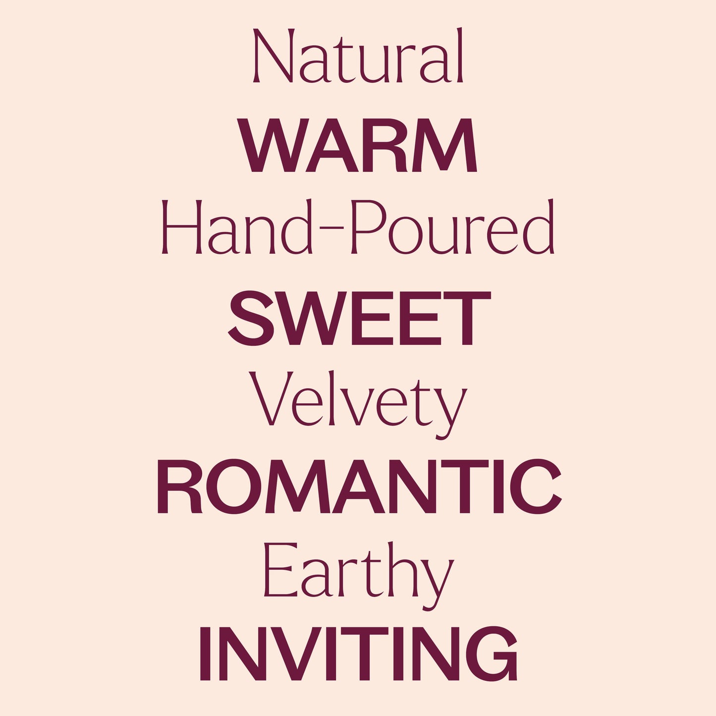 Plant Therapy - Vanilla Amber Naturally Scented Candle