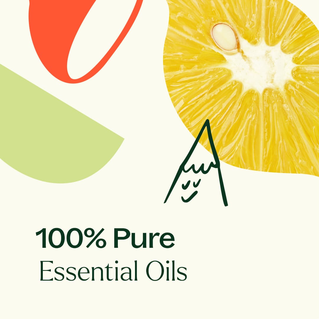Plant Therapy - Zest Mode Essential Oil Blend